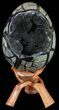 Septarian Dragon Egg Geode - Removable Section #59257-1